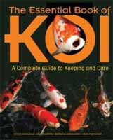 Koi, Nishikigoi Fish for Sale.  Koi Pond Supply, Building and Information.  Koi Breeding, Care and more.