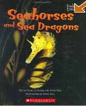 Seahorse, Sea Horse, Information, Facts and Care.  Baby Seahorses, Dwarf and Yellow Seahorses.  Seahorses for Sale. Sea Colt. Sea Dragon.